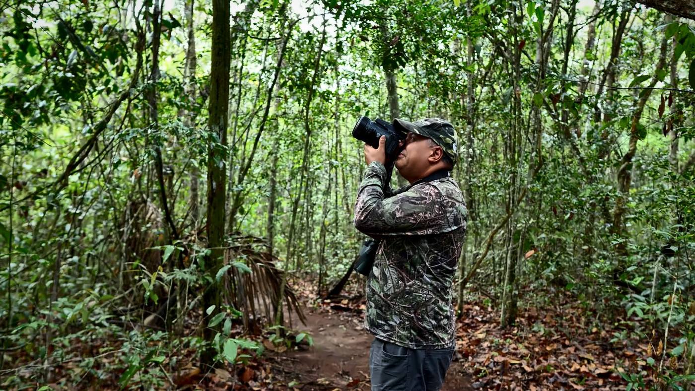 Guia observando aves com binóculo no meio da floresta
