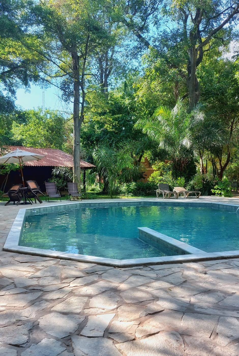 Piscina cercada pela mata