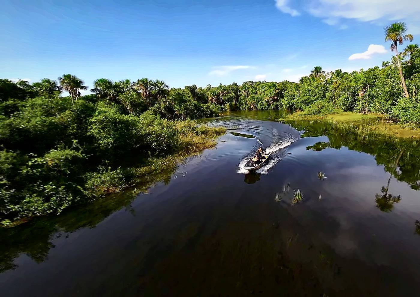 Barco navegando num rio calmo entre a mata e as palmeiras