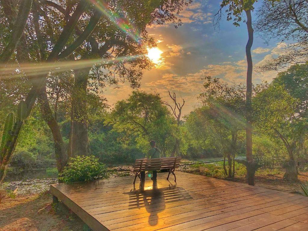 Deck de madeira ao pôr do sol