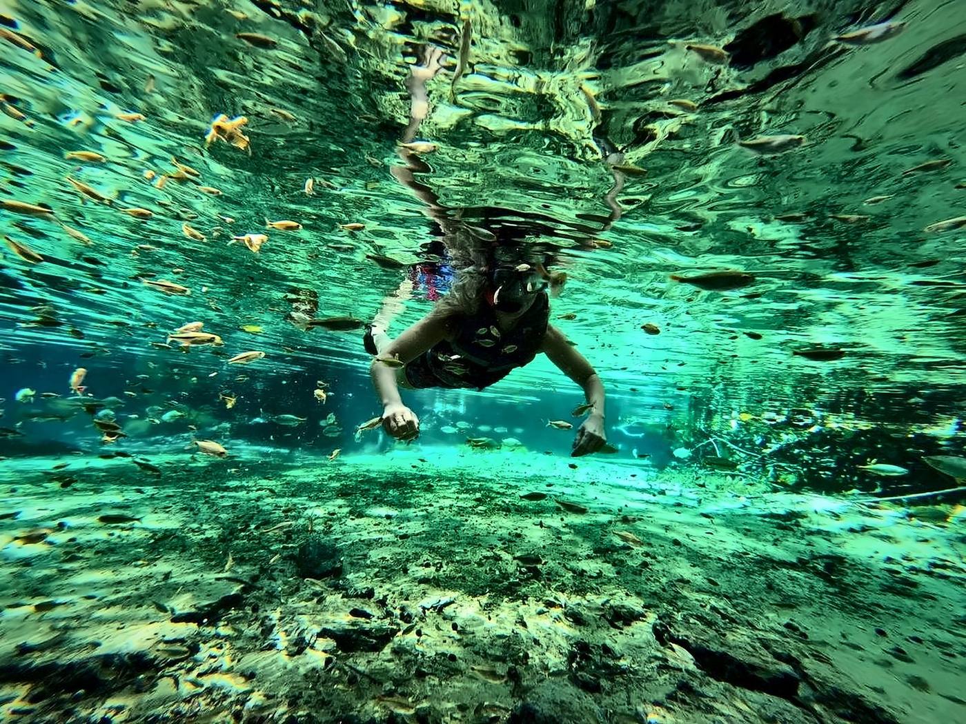 Pessoa flutuando entre peixes num rio de água cristalina