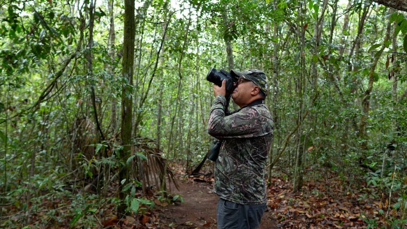 Observador de aves com binóculo na trilha