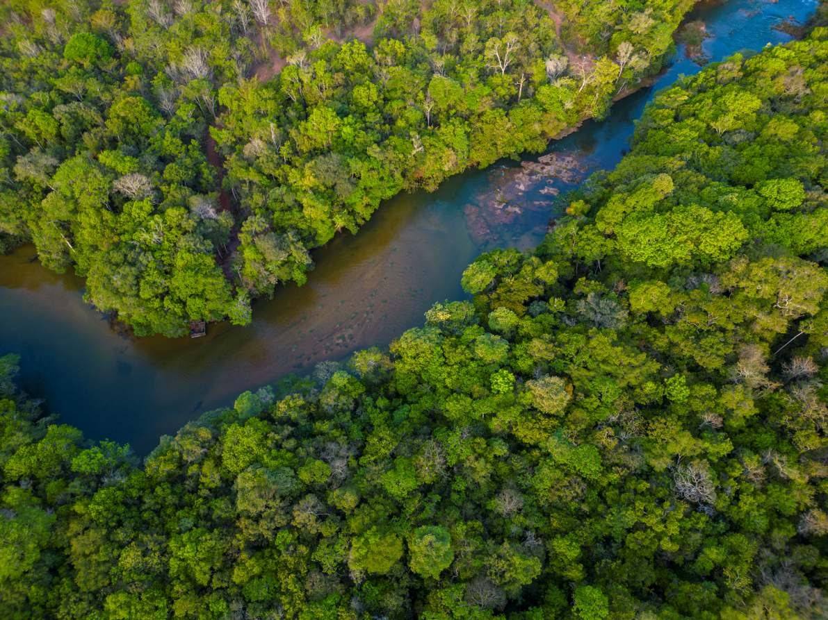 Vista aérea do Rio Claro cortando a floresta
