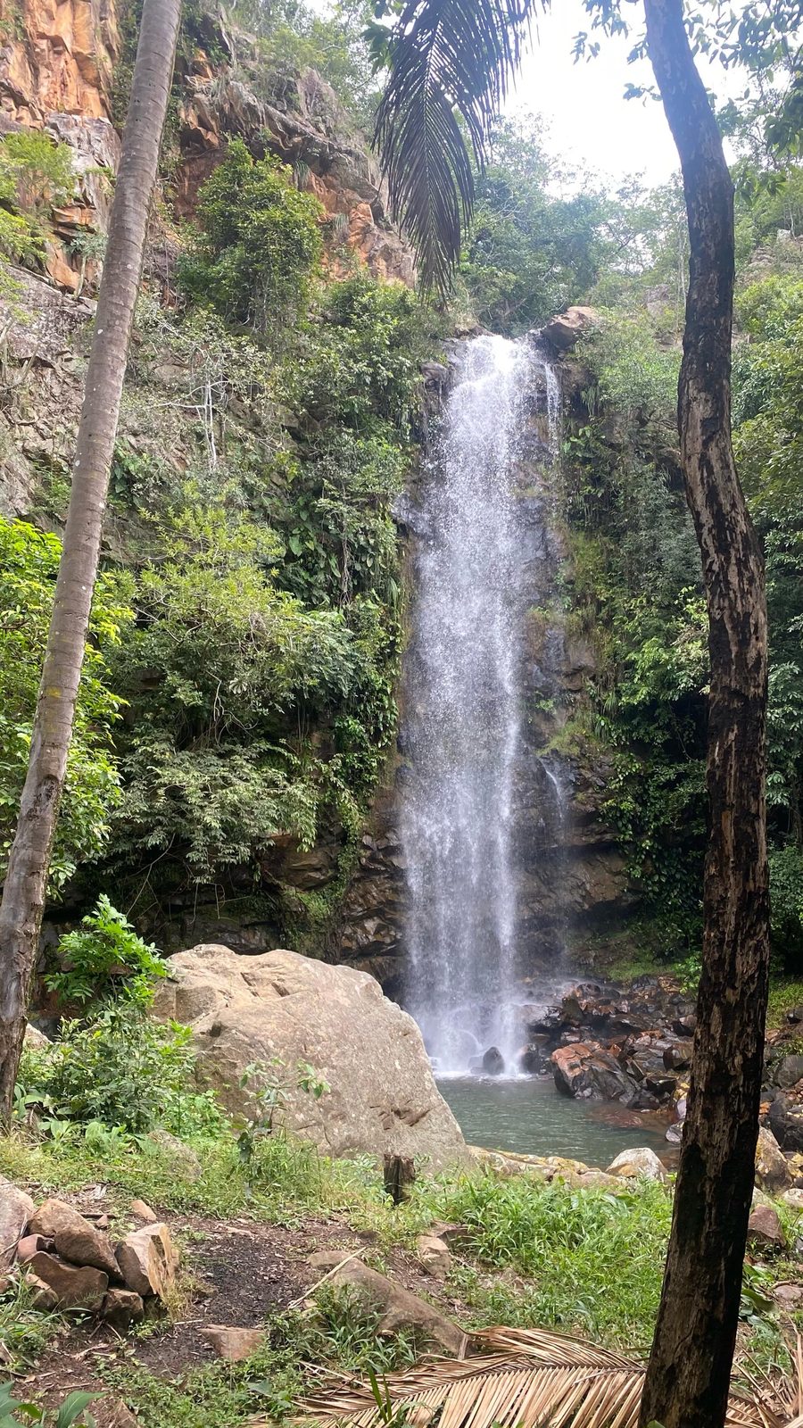 Cachoeira no meio da mata
