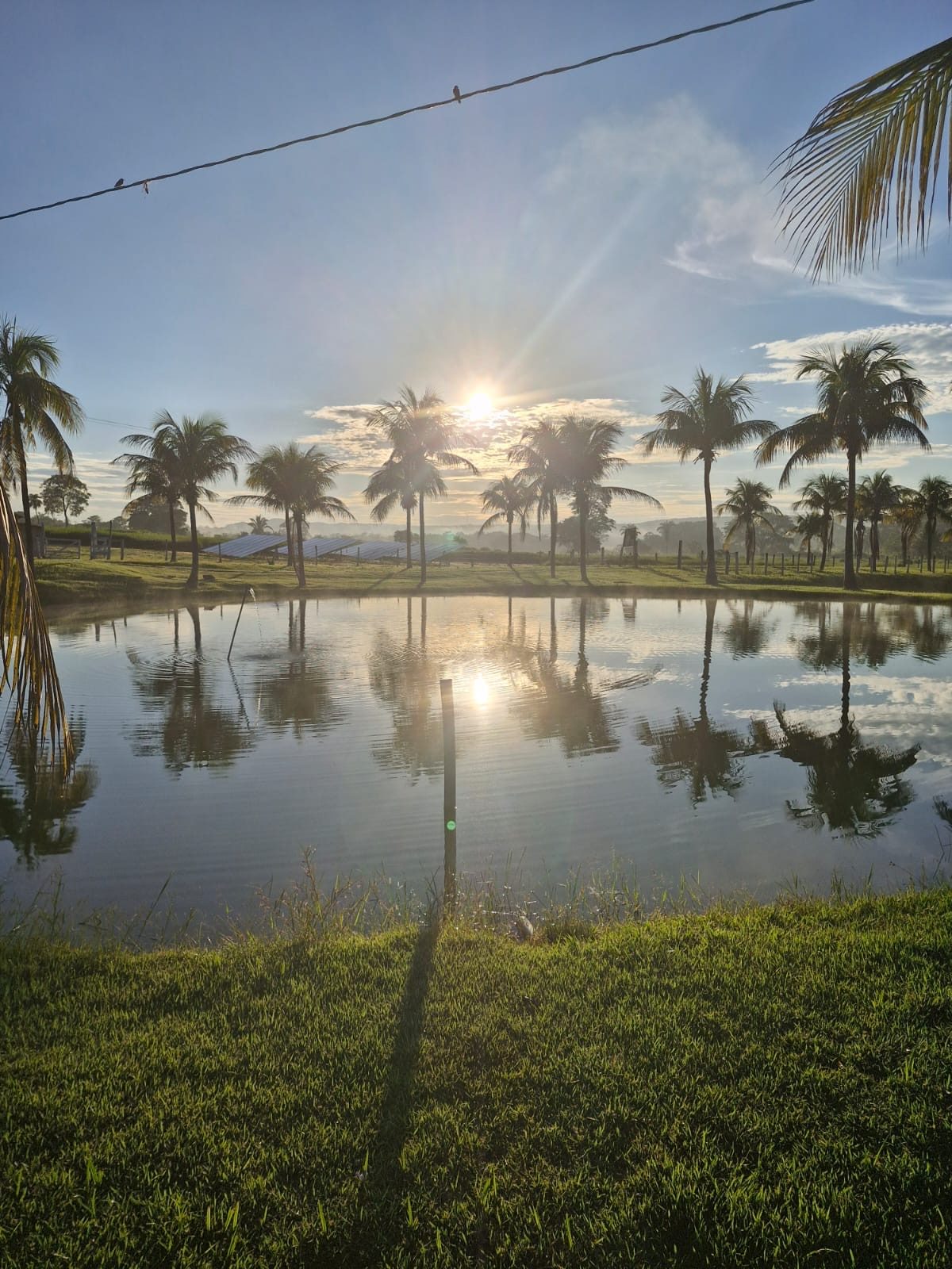 Sol refletido no lago, com coqueiros em volta