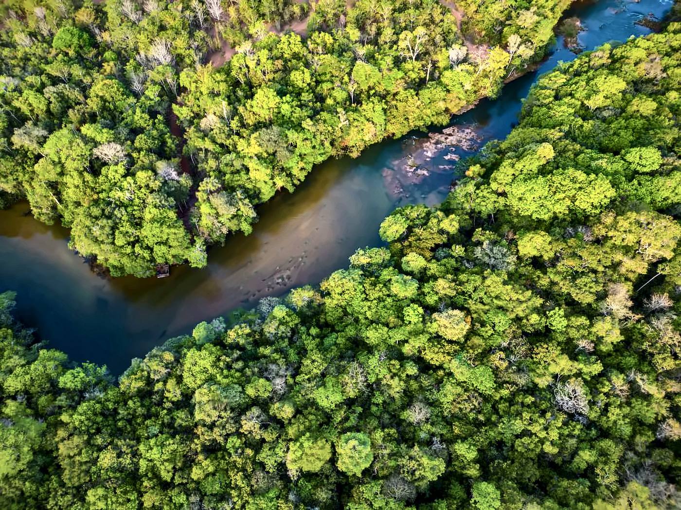 Vista aérea de um rio cortando a floresta amazônica em Mato Grosso