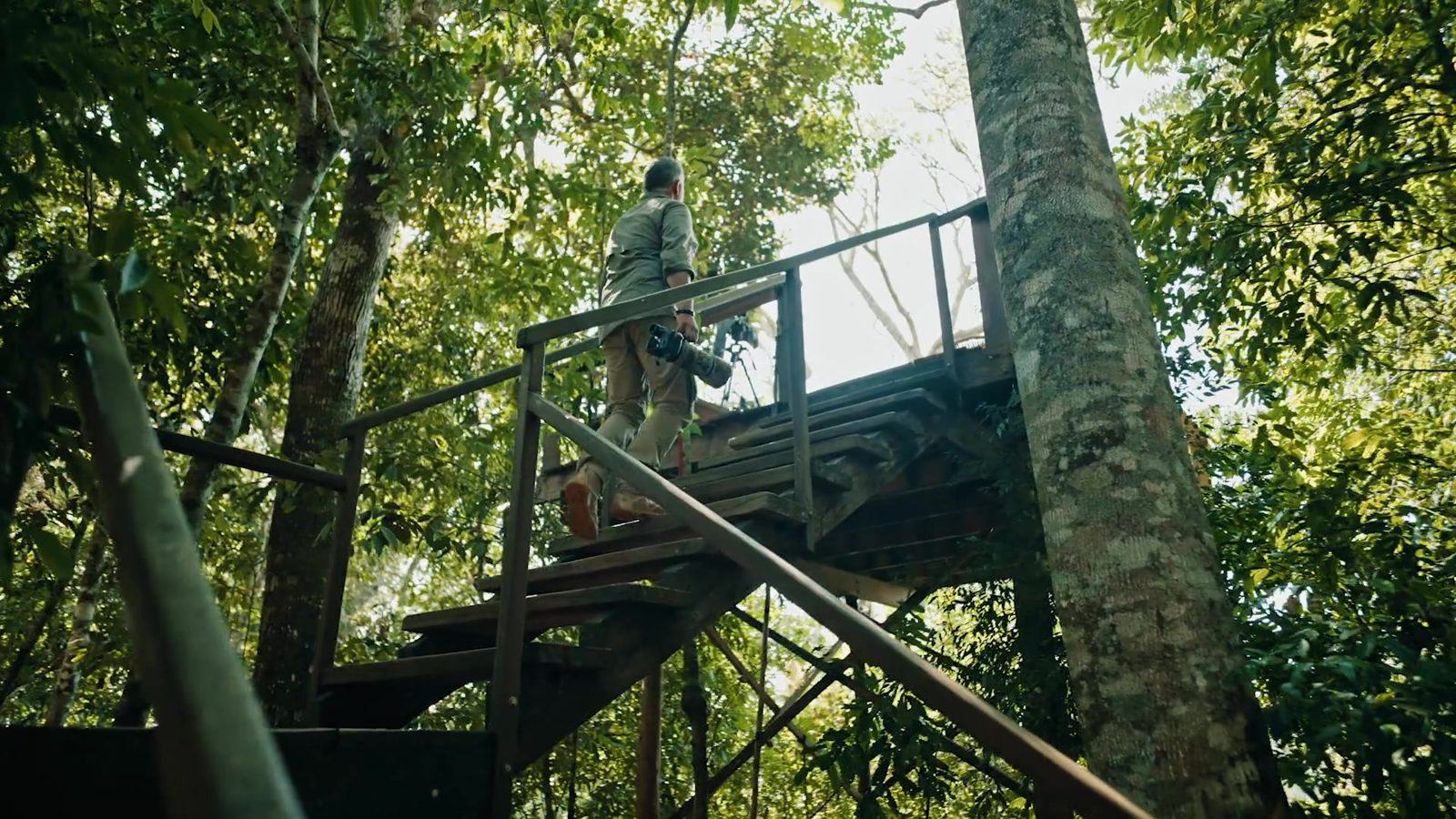 Torre de observação de aves no meio da mata